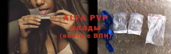 спайс Арсеньев