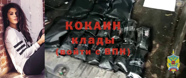 спайс Арсеньев