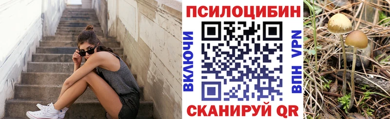 Галлюциногенные грибы мухоморы  Купить где  Приморско-Ахтарск 
