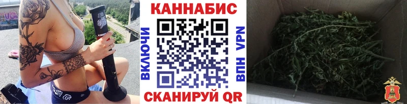 Бошки марихуана планчик  Купить закладки  Приморско-Ахтарск 